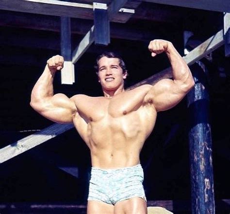 Arnold Schwarzenegger Arnold Schwarzenegger Mr Olympia Frank Zane