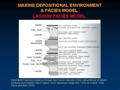 6 MARINE SEDIMENTATION FACIES DEPOSITIONAL ENVIRONMENT Definition Physical