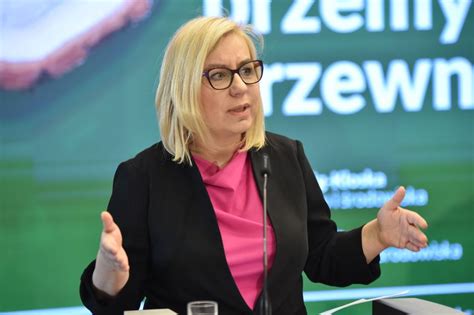 Zmiany W Sprzeda Y Drewna Ministerstwo Przedstawi O Nowe Zasady Money Pl