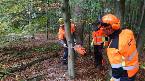 Bung Am Spannungssimulator Freiwillige Feuerwehr Buchholz In Der