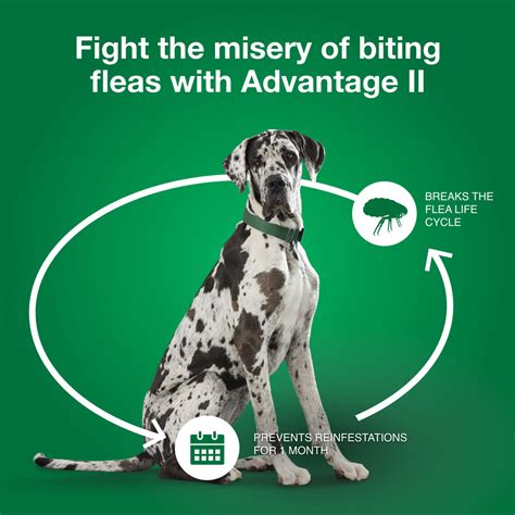 Advantage Ii For Dogs Over 55 Lbs 6 Month On Sale Ep Rx