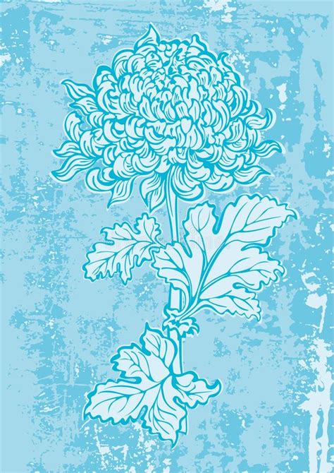 Japanese Chrysanthemum Flower Stock Vector Illustration Of Decoration