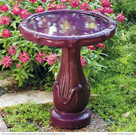 A Bright Birdbath Garden Gate