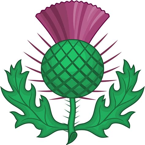 https://upload.wikimedia.org/wikipedia/commons/thumb/b/bc/Scottish_Thistle_(Heraldry).svg/2000px ...