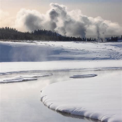 Searching For Yellowstone Ecology And Wonder In Th 10