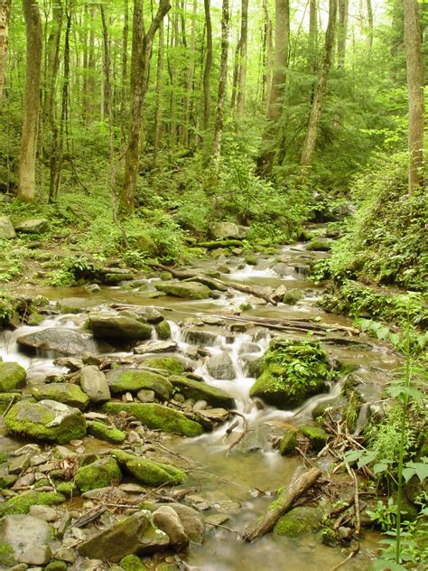 Great Smoky Mountains National Park So Green Greg Kondrasuk Flickr