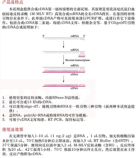 cDNA 第一链合成试剂盒50 次费用价格 详情介绍 960化工网 960化工网