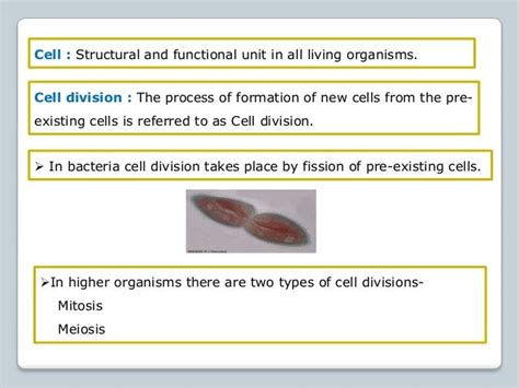 Regulation Of Cell Cycle And Cell Division