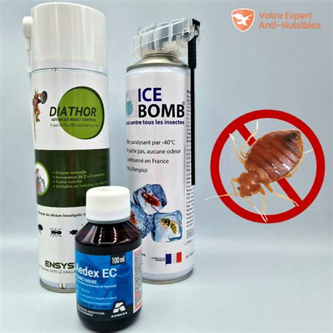 Produit Contre Les Punaises De Lit Inspirant Punaise De Lit Insecticide