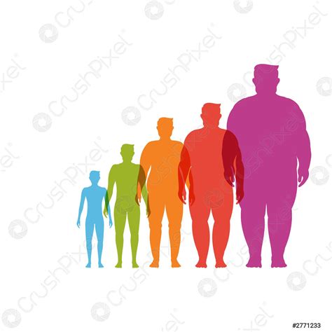 Body Mass Index Vector Illustration Stock Vector 2771233 Crushpixel