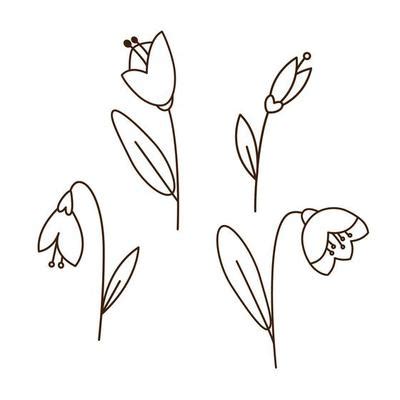 Spring Flower Outline Vector Art, Icons, and Graphics for Free Download