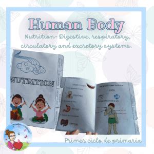 Flipbook Nutrition Recursos Educativos Maestra Cristina