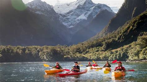 Milford Sound Nature Cruise with Optional Lunch