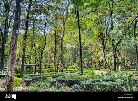 Colonia Condesa, Mexico Stock Photo - Alamy