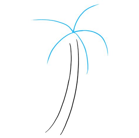 How To Draw A Palm Tree Easy Step By Step Tutorial