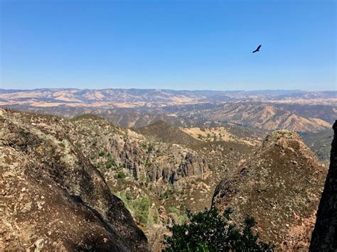 Discover The Unique Treasures Of Pinnacles National Park