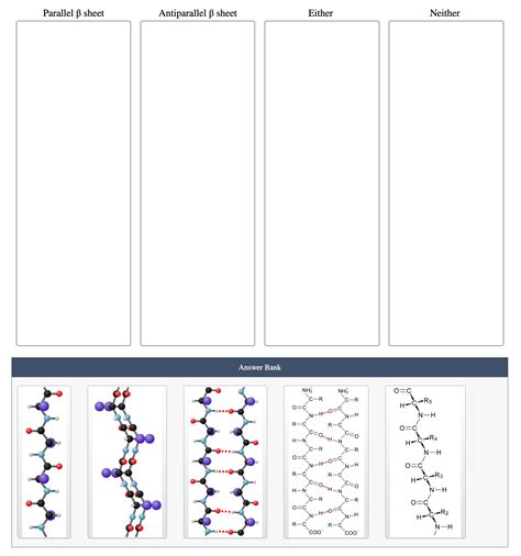 Solved Antiparallel β ﻿sheetEitherNeither | Chegg.com