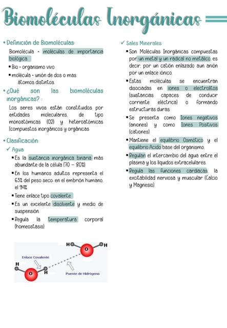 Biomolécula Inorgánicas Antonella Cruz Rodriguez uDocz