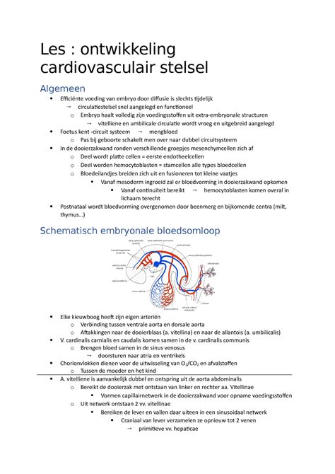 Samenvatting Les Les Ontwikkeling Cardiovasculair Stelsel