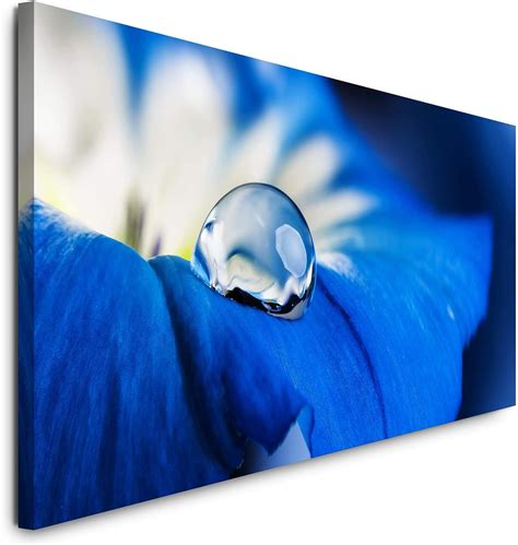 Paul Sinus Art Gmbh Blaue Blume X Cm Panorama Leinwand Bild Xxl