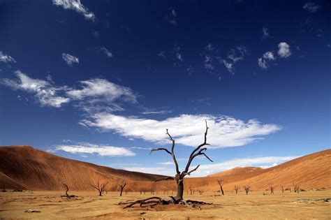 Südafrika Namibia Botswana Simbabwe Komfortable Safari von