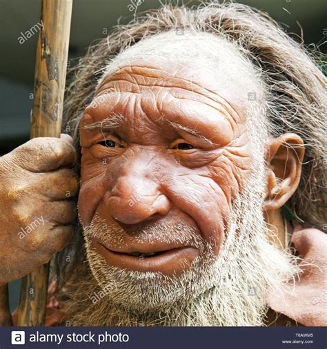 Neanderthal Reconstruction