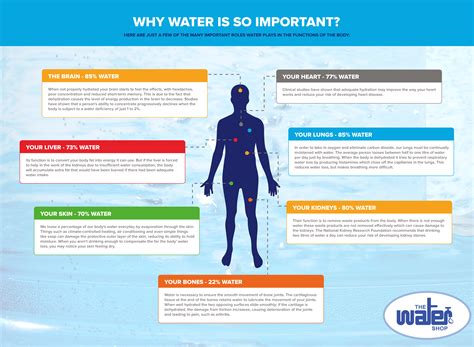 Why Is Water Important The Water Shop Water Filter Systems Whole