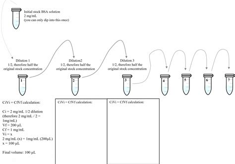 What Does Bradford Assay Measure At Jeanette Pederson Blog