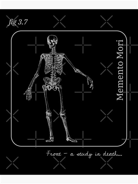 Memento Mori Skeleton A Study In Death Front View Premium Matte