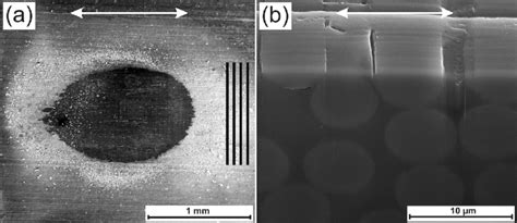 A Top View SEM Image And B FIB SEM Cross Section Of The Wear Track