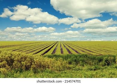 22,140 American Farm Landscape Images, Stock Photos & Vectors ...