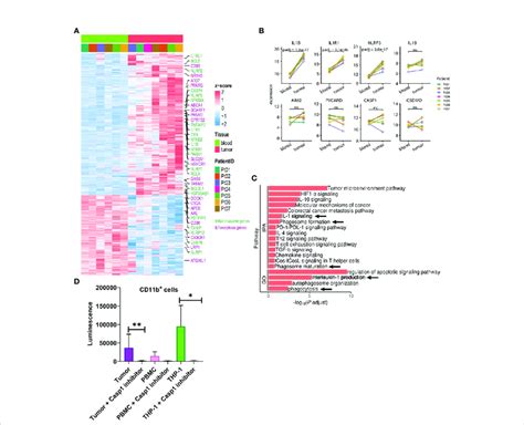 Il B Signaling Pathways Are Enriched In Tumor Infiltrating Myeloid