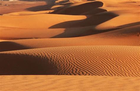 Premium Photo | Sand dunes in a desert