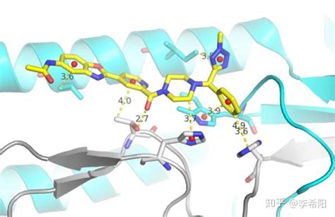 零基础pymol作图教程——绘制蛋白质 分子结合模式图 知乎