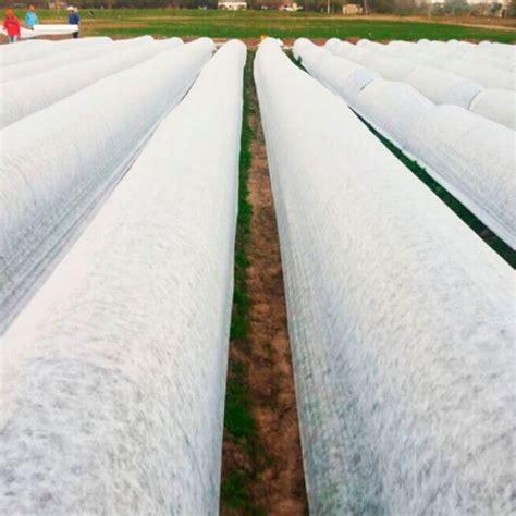 Manta térmica agrícola Viverplast Agroshow