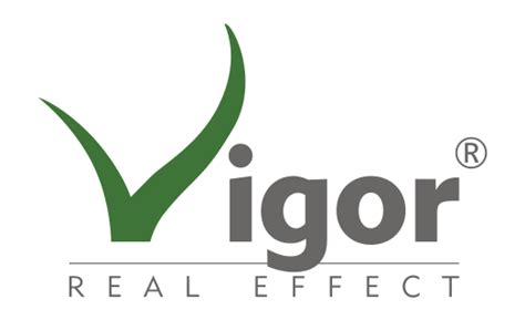 Vigor Logo Agroskład