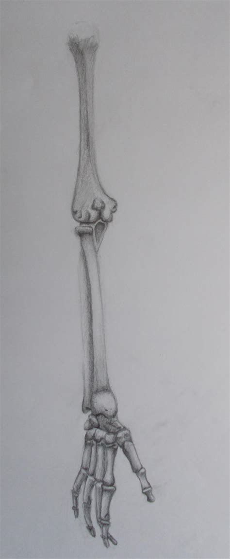 Skeleton Arm Drawing by SUNNY-3D-RAMM on DeviantArt