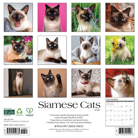 Siamese Cats 2026 Wall Calendar – The Cat Gallery