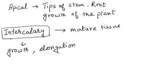 SOLVED: Difference between apical intercalary and lateral meristem in class 9