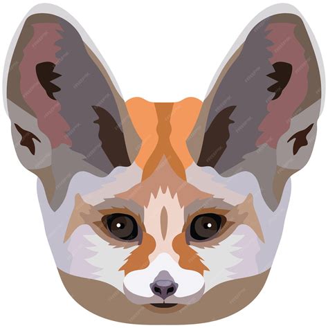 Premium Vector | Fennec face an illustration of the muzzle of a small