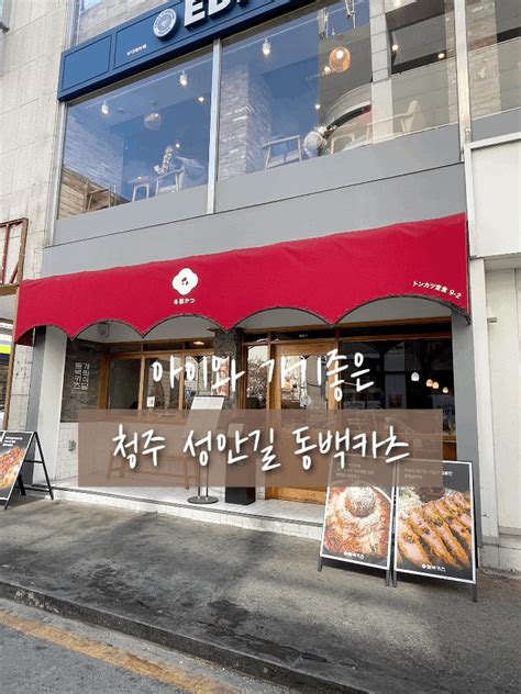 청주 성안길 맛집 동백카츠 내돈내산 리뷰 네이버 블로그