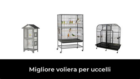 Migliore Voliera Per Uccelli Nel Secondo Gli Esperti