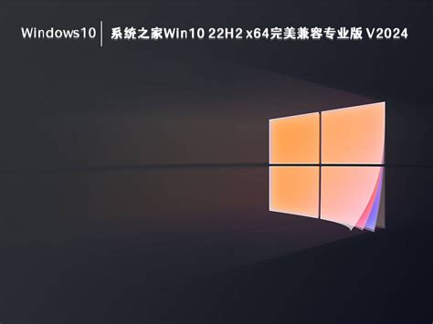 系统之家win10 22h2 完美兼容专业版 64位 V20245下载系统之家