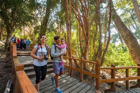 Patagonia 8 Destinos Que Fueron Un Boom En Verano Y Se Renuevan Para