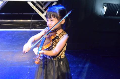 Violin Lessons – Vienna Music School