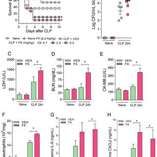 Fk Treatment Results In Higher Mouse Susceptibility To Clp Induced