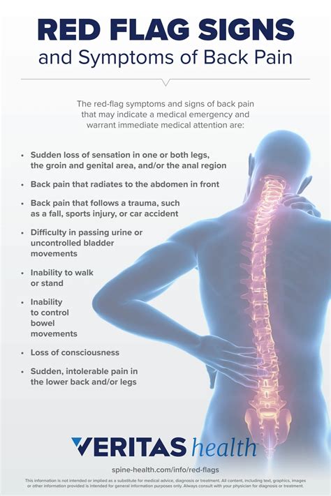 Red Flag Signs and Symptoms of Back Pain Infographic | Spine-health