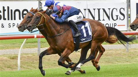 Taree Preview Wayne Brown Calls On Michael Heagney For Cup Showdown