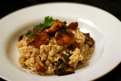 Risotto Aux Champignons Des Bois La Cocotte Dans Les Toiles