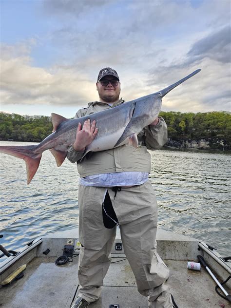 Snagging spoonbill is pretty sweet : r/Fishing